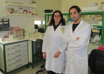 Universidade de Coimbra Mecanismo explica como o sexo feminino e a diabetes influenciam o aparecimento da Doença de Alzheimer