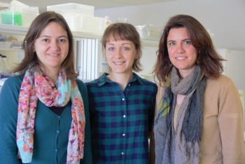 Trabalho do Departamento de Biologia e do Centro de Estudos do Ambiente e do Mar Investigadoras da Universidade de Aveiro estudam níveis de mercúrio em parturientes