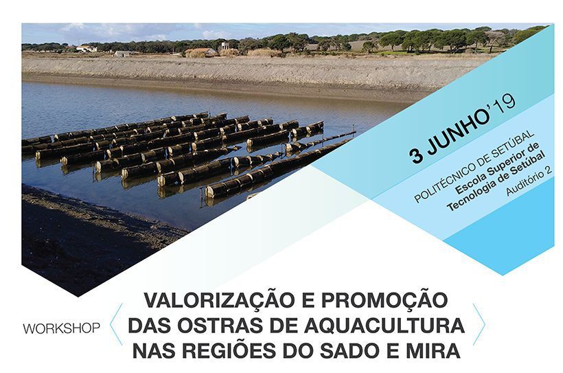 Workshop no âmbito do projeto Ostraqual - EST Setúbal IPS divulga resultados de estudo sobre ostras de aquacultura