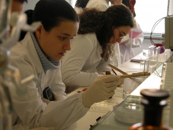 Setúbal - Novos cursos técnicos superiores profissionais Candidaturas abertas até 14 de agosto