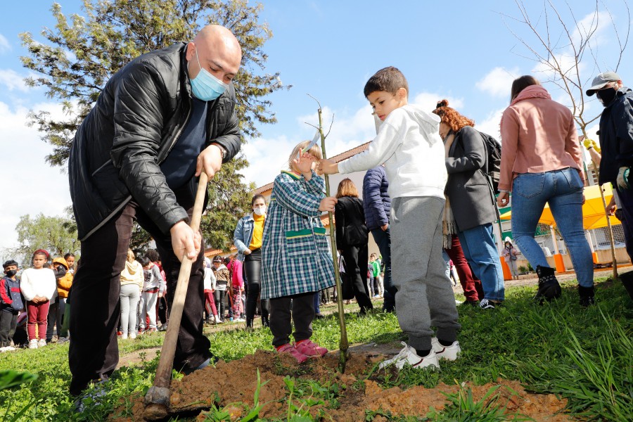 Alunos plantam árvores nas escolas do Concelho do Barreiro Oferta de uma amoreira aos jardins-de-Infância e escolas do 1º ciclo da rede pública
