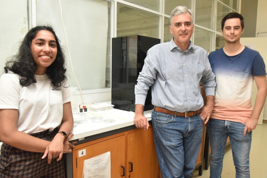 Projeto BioScaff desenvolveu metodologia de fabrico por impressão 3D Investigadores do IP Setúbal produzem suportes cerâmicos que permitem a regeneração óssea