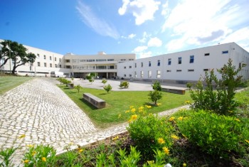 Politécnico de Setúbal regista aumento do número de alunos Colocados na primeira fase do concurso nacional de acesso ao ensino superior