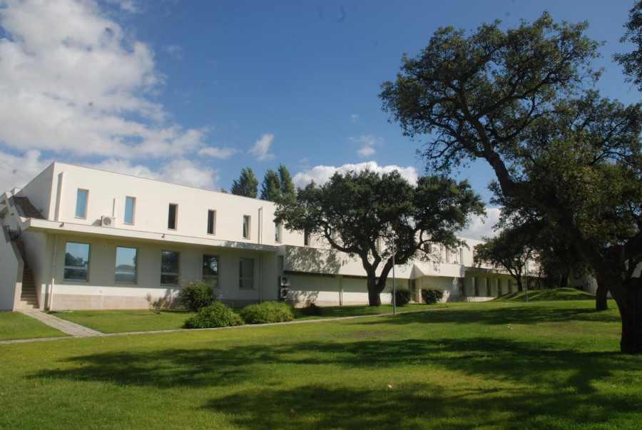 Setúbal - Escola Superior de Ciências Empresariais levou três equipas às 24 Horas de Logística Evento formativo decorreu em Palmela