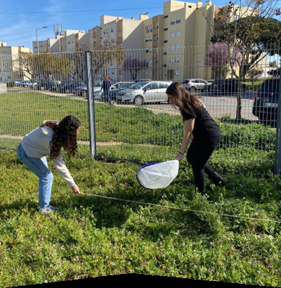 Projeto desenvolvido no âmbito do programa Eco-Escolas Campus do Barreiro do IPS reconhecido por trabalho de preservação da biodiversidade