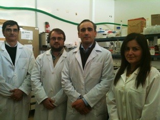 Investigadores da Universidade de Coimbra dão importante contributo para aplicação da terapia génica