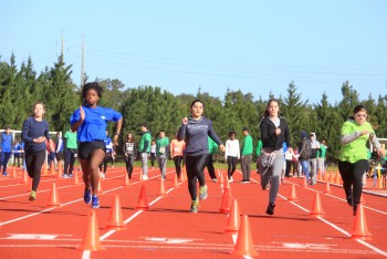 Setúbal - Cerca de novecentas crianças e jovens participaram no Mega Setúbal 2016 evento de desporto escolar de âmbito regional