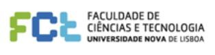 No Monte de Caparica - Almada FCT-UNL promove encontro de Professores do Ensino Secundário