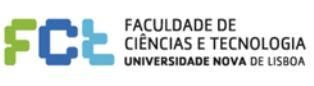 No campus da Caparica em Almada FCT-UNL volta a abrir as suas portas na EXPO FCT