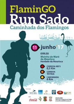 Politécnico de Setúbal associa-se à Flamingo Run Sado Inscrições até 8 de junho