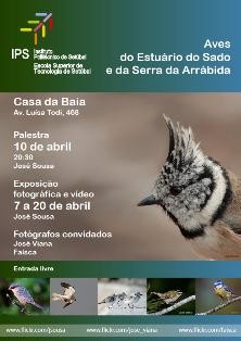 Setúbal - Escola Superior de Tecnologia promove debate e exposição fotográfica «Aves do Estuário do Sado»: Um olhar sobre a natureza da região sadina