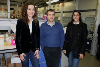 Investigação do Departamento de Química e do CICECO da Universidade de Aveiro Descoberta resina renovável para um planeta menos dependente do petróleo
