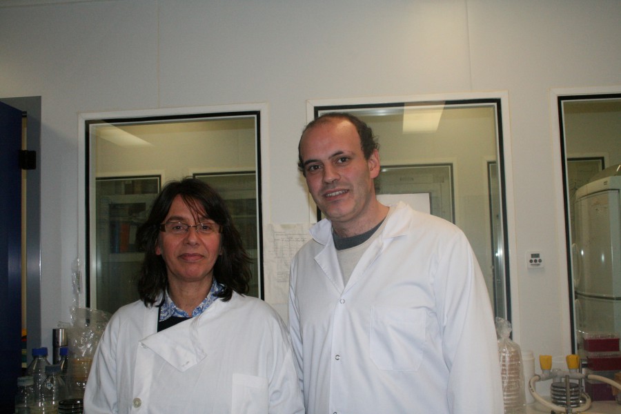 Estudo da Universidade de Coimbra Contribui para a prevenção de infeções hospitalares