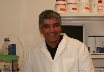 Cafeína diminui a memória do medo revela estudo internacional liderado pela Universidade de Coimbra