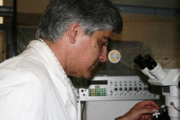 Estudo Internacional liderado pela Universidade de Coimbra revela novas pistas para a origem da Esquizofrenia