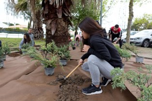Alecrins e juniperus embelezam exteriores da Escola Secundária D. Manuel Martins em Setúbal Seja Jardineiro Por Um Dia