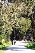 Mata da Machada – O campo na cidade “O Pulmão do Barreiro”
