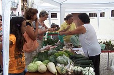 Mercado de Agricultura Biológica no Barreiro Velho “Que façam mais, porque esta é uma iniciativa muito boa, porque aqui estão os nossos produtos”