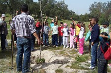 Comemorações do Dia Mundial da Árvore no Barreiro Mata da Machada recebe 400 crianças com actividades lúdico-pedagógicas Uma aula ao ar livre