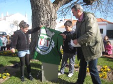 Amoreira centenária em Palhais - Barreiro Alunos do Ensino Básico cantaram os «Parabéns» à amiga «Avózinha»