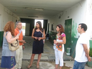 Grupo Desportivo Fabril do Barreiro «Projecto Eco- Desafio» contribui para reduzir a factura de energia