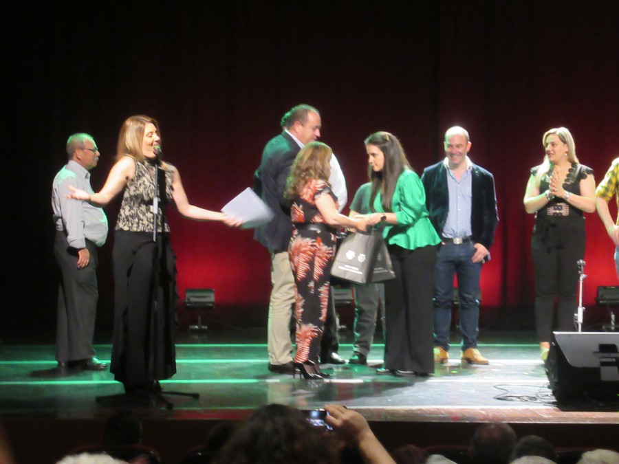 Barreiro / Moita - Gala Solidária assinala 26º aniversário da Persona Uma noite de emoções para apoiar a inclusão social