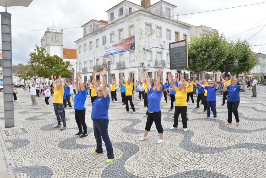 Montijo - Projetos de envelhecimento ativo Universidade, Academias e Ateliers Seniores – Inscrições Abertas