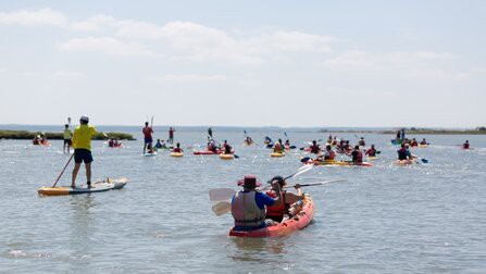 Passeio fluvial para embarcações sem motor Descida do Rio Sado com inscrições abertas . 14 de setembro