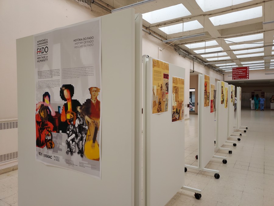 BARREIRO - Unidade Local de Saúde do Arco Ribeirinho ASSINALA DIA DA MÚSICA COM EXPOSIÇÃO SOBRE O FADO