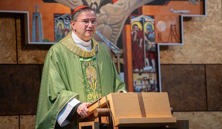 Diocese de Setúbal -50º aniversário da ordenação episcopal de D. Manuel Martins Carta Pastoral 2025/2026 «Semeadores de Esperança»