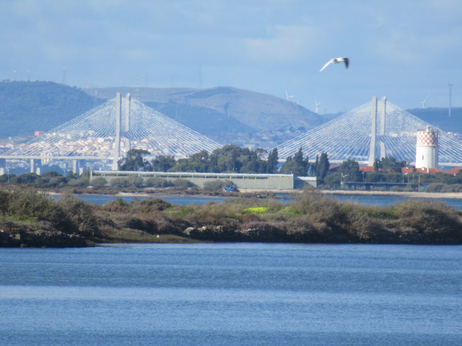 Ponte Vasco da Gama liga Montijo e Alcochete a Lisboa A ponte mais longa da Europa assinala hoje 20 anos