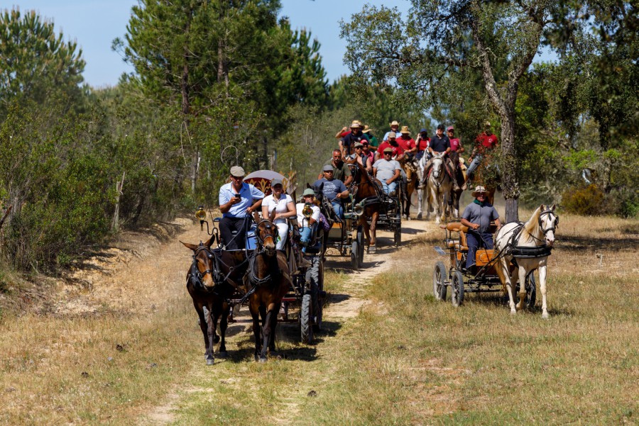 XXII edição da Romaria a Cavalo Moita - Viana do Alentejo Centenas de romeiros todos os anos participam nesta Romaria
