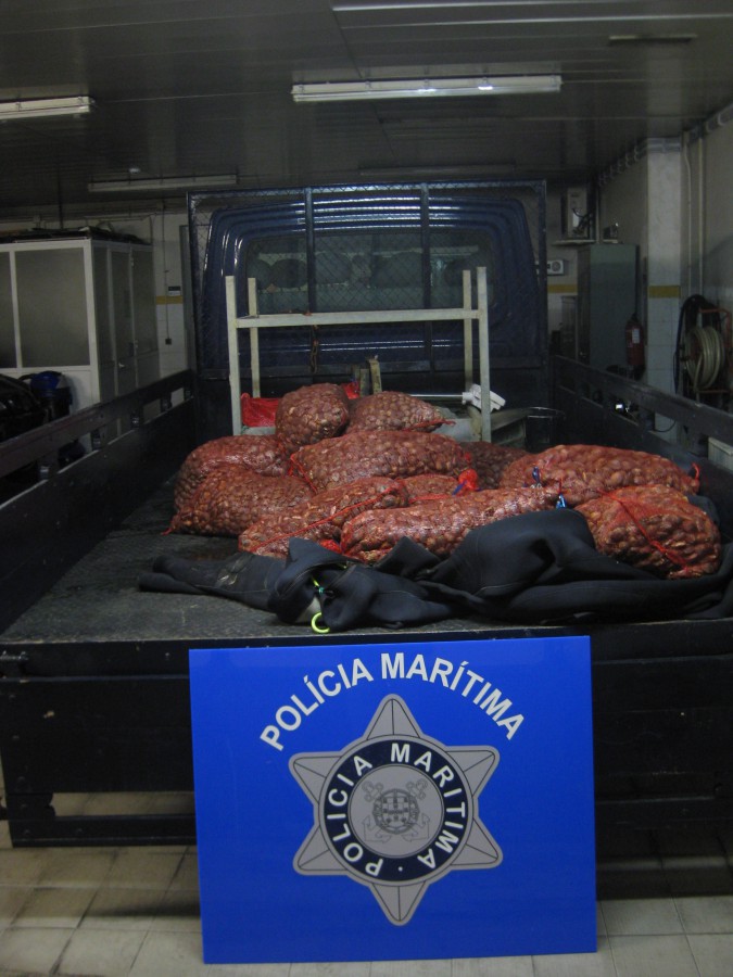 Armazém ilegal destinado à recetação de bivalves na zona do Montijo. Polícia Marítima desmantela armazém e apreende 630 kg de amêijoa japónica