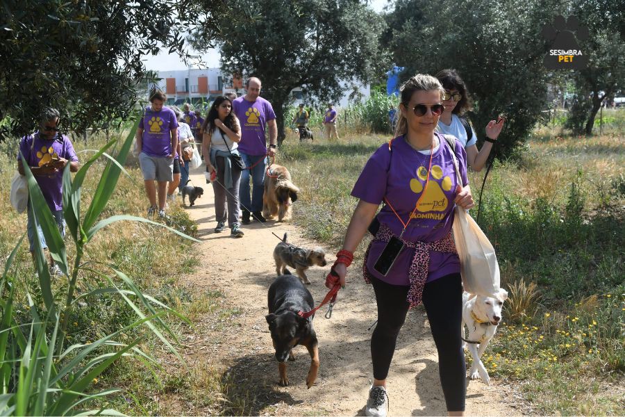 Na Moagem de Sampaio Sesimbra PET–Festival do Bem-estar Animal . Dias 25 e 26 de maio