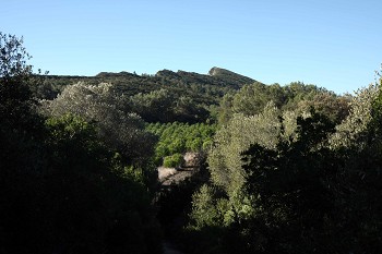 Sesimbra, Setúbal e Palmela reforçam colaboração Uma estratégia comum de promoção do que melhor existe em cada um deles