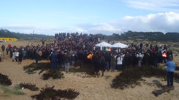 Homenagem na praia do Meco Flores plantadas na areia ou lançadas ao mar Por Jorgete Teixeira