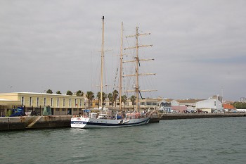 Veleiro POGORIA volta ao Porto de Setúbal