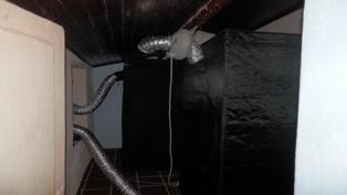 Em Foros de Corte Pereiro – Alcácer do Sal GNR desmantela complexo de produção de cannabis