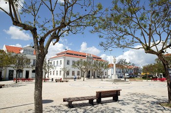 Núcleo da Moita da Associação de Amizade Portugal-Cuba Promove acção de solidariedade com outros povos