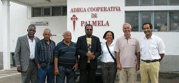 Adega de Palmela lança vinho Bonga em Angola Aacontece no âmbito do Angola Wine Festival