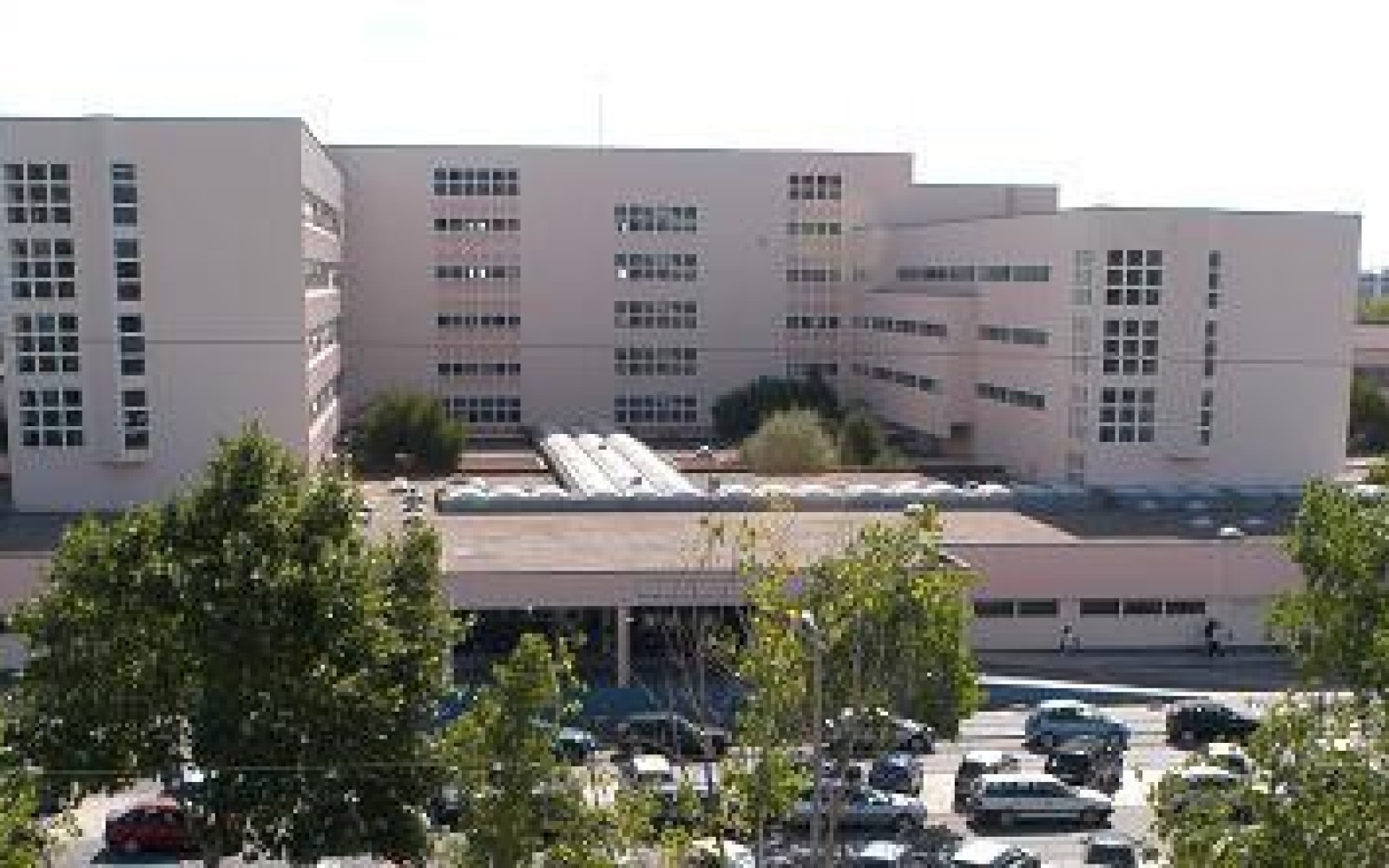 Unidade Local de Saúde do Arco Ribeirinho Reforça infraestruturas digitais dos Cuidados de Saúde Primários