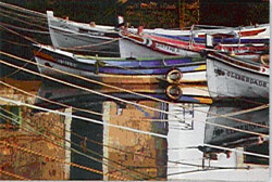 Moita Exposição de Fotografia de Raul Costa
