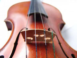 Moita Ciclo de música erudita