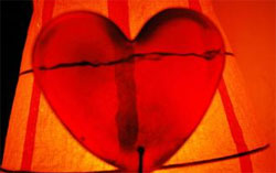 Moita Idosos comemoram Dia de S. Valentim