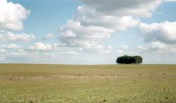 Prémio Casa do Alentejo Concurso de Fotografia "Alentejo - Da Terra e da Água"