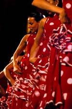 Na Moita – Baixa da Banheira Fórum Cultural José Manuel Figueiredo apresenta “Vivir Flamenco”