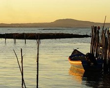 Workshop em Setúbal ESTUÁRIOS DO TEJO E DO SADO EM DEBATE