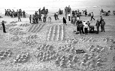 Sesimbra recria antiga lota na praia Mais de 100 figurantes recriam das mais características tradições de pesca do país