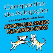 Seixal No sábado “Adopte um Amigo de Quatro Patas”