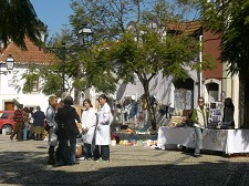 Feira da Ladra no Barreiro Tem vindo a crescer em número de vendedores e em público